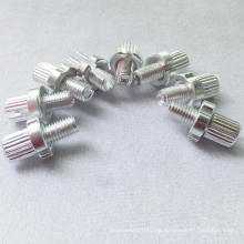 CNC High Precision Turning Parts Zinc Plated Brake Caliper Bolt, Custom Brake Bolt